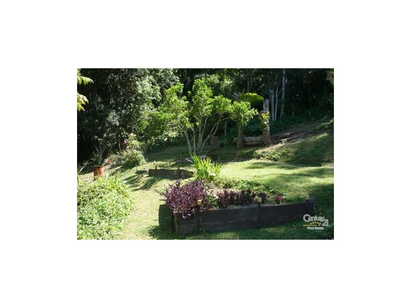 Murwillumbah NSW 2484