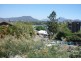 Murwillumbah NSW 2484