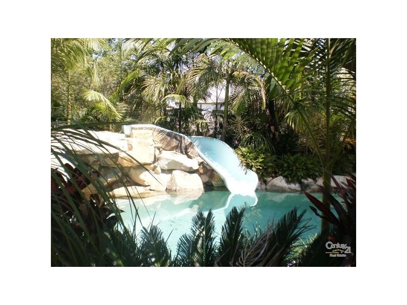 Murwillumbah NSW 2484