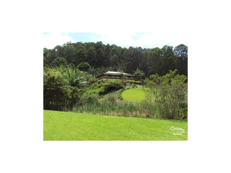 Murwillumbah NSW 2484