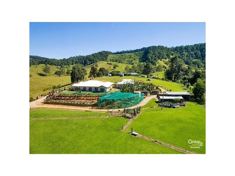 Crystal Creek NSW 2484