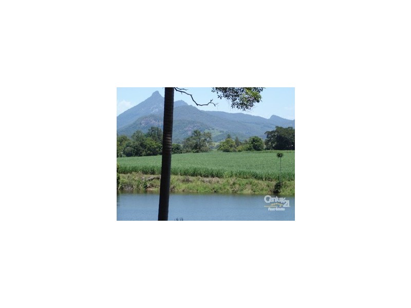 Murwillumbah NSW 2484