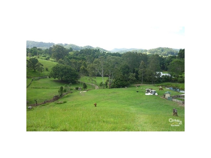 Crabbes Creek NSW 2483