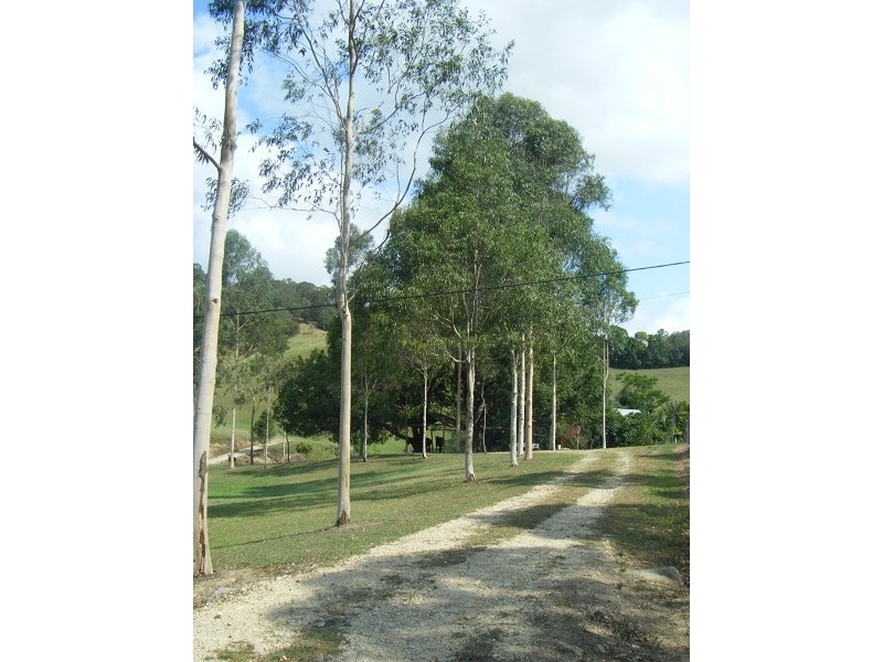 Crabbes Creek NSW 2483