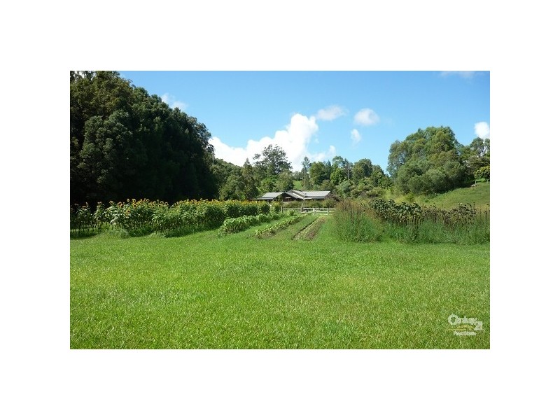 Nobbys Creek NSW 2484