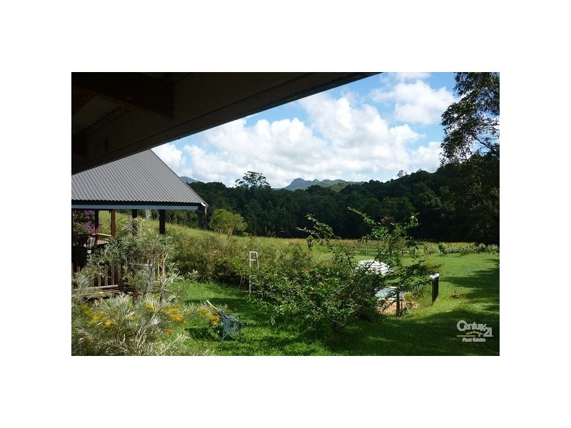 Nobbys Creek NSW 2484