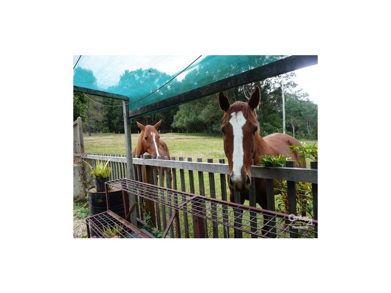 49 Upper Crystal Creek Road, Crystal Creek NSW 2484