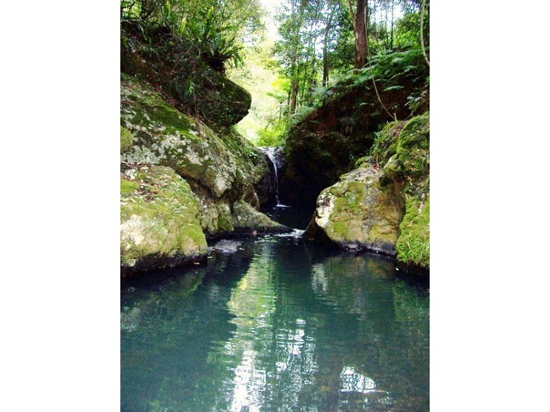 Crystal Creek NSW 2484