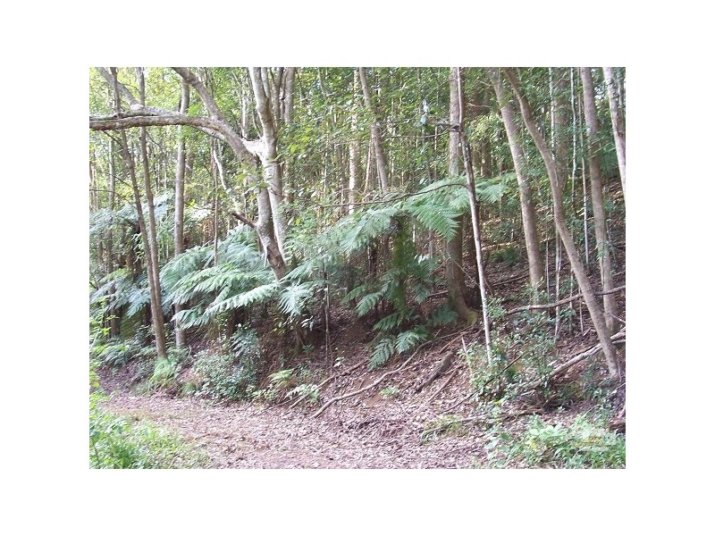 Crystal Creek NSW 2484