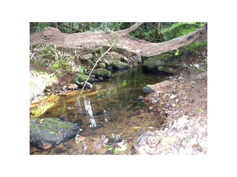 Crystal Creek NSW 2484