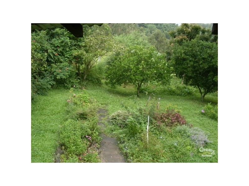 Murwillumbah NSW 2484