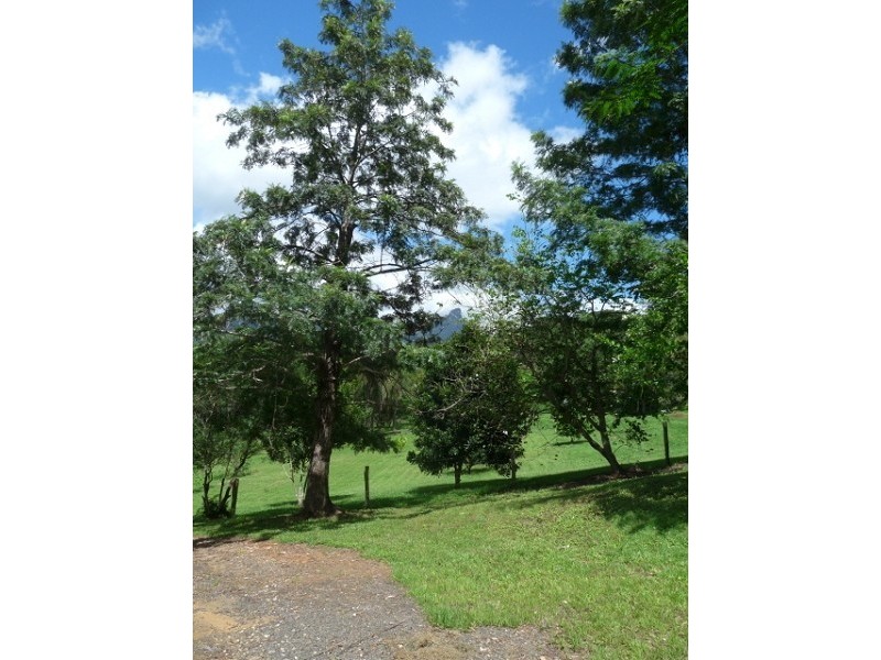 Murwillumbah NSW 2484