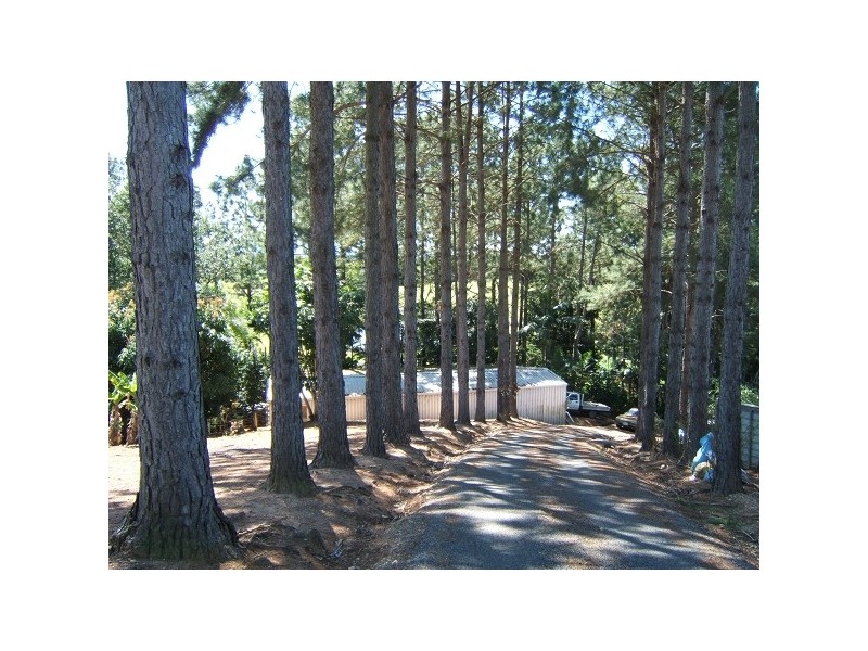 Stokers Siding NSW 2484