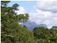 Murwillumbah NSW 2484
