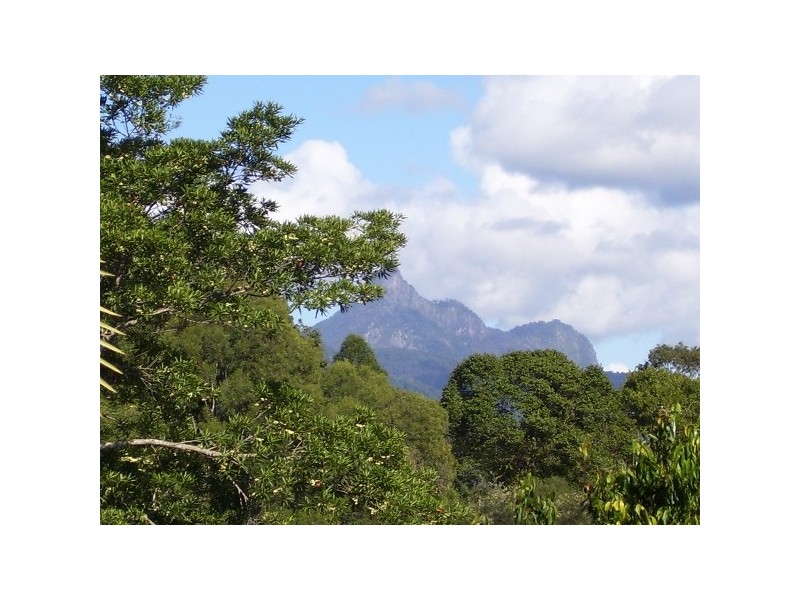Murwillumbah NSW 2484