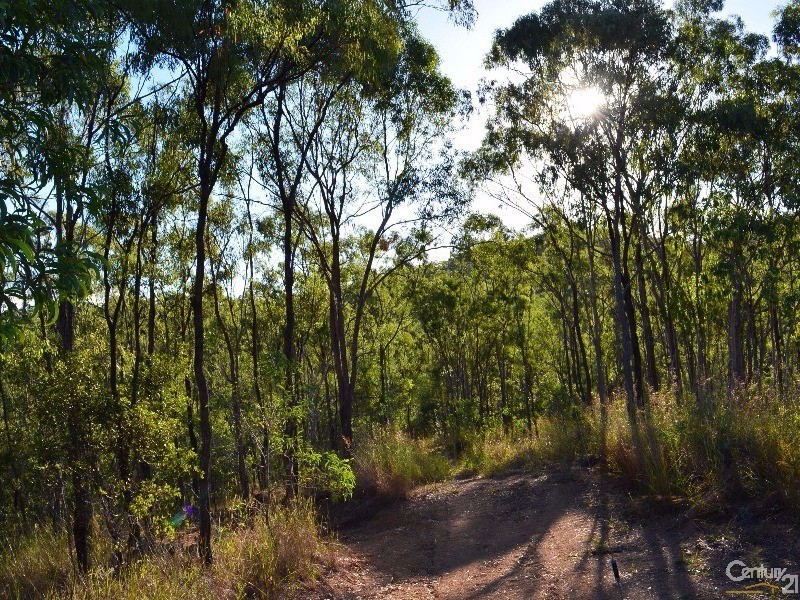 101 Sawmill Road, Calliope QLD 4680