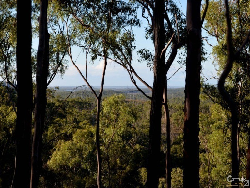 101 Sawmill Road, Calliope QLD 4680