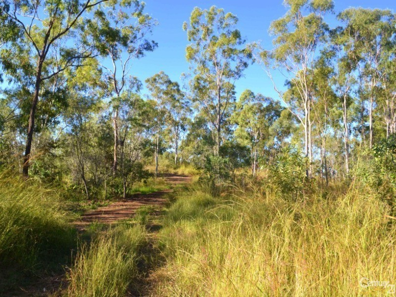 101 Sawmill Road, Calliope QLD 4680