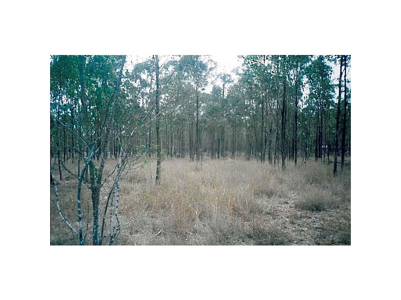 Darts Creek QLD 4695