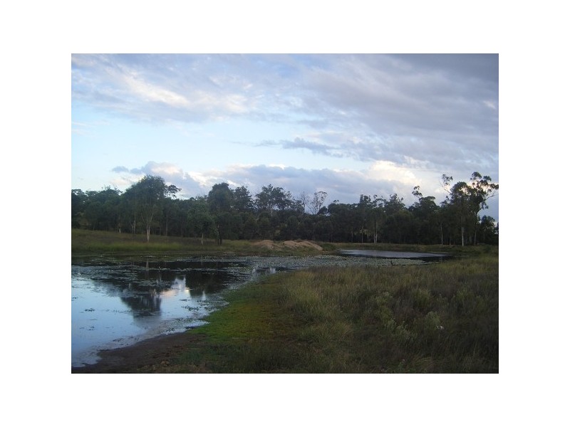 Bracewell QLD 4695