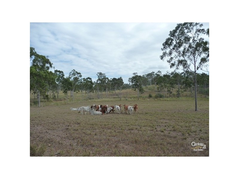 Calliope QLD 4680