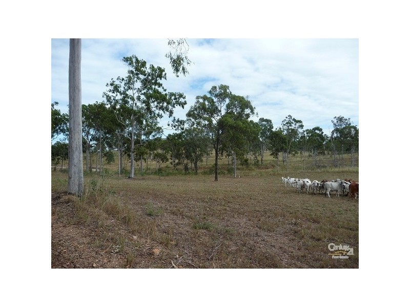 Calliope QLD 4680