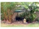 Gladstone QLD 4680