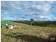 Mount Larcom QLD 4695