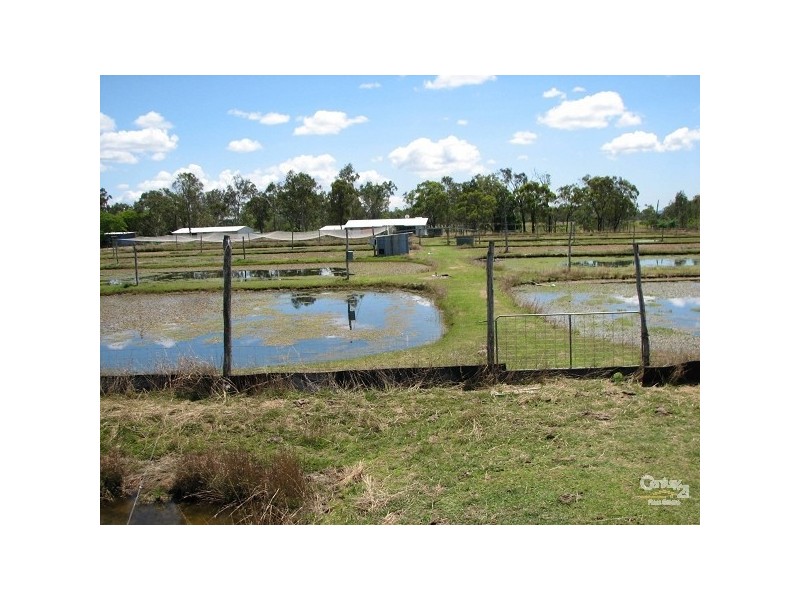 Wooderson QLD 4680