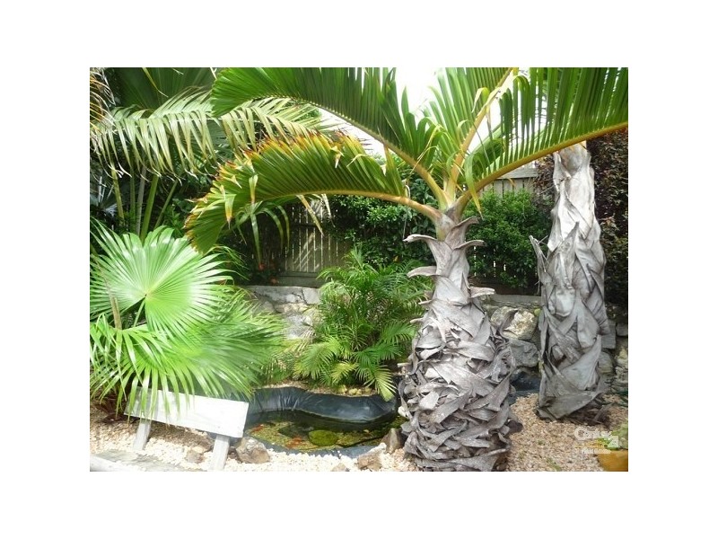 8 Walker Street, Gladstone QLD 4680