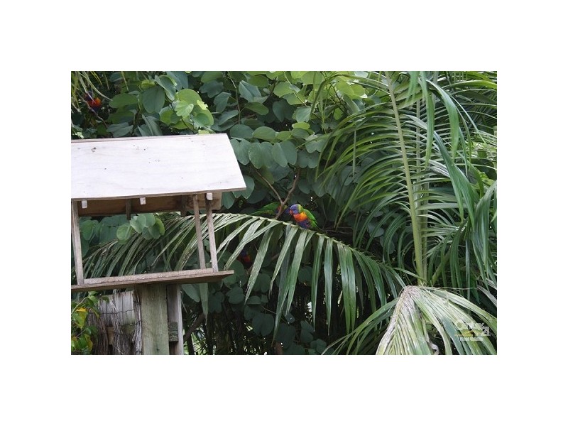 18 Irma Court, Benaraby QLD 4680