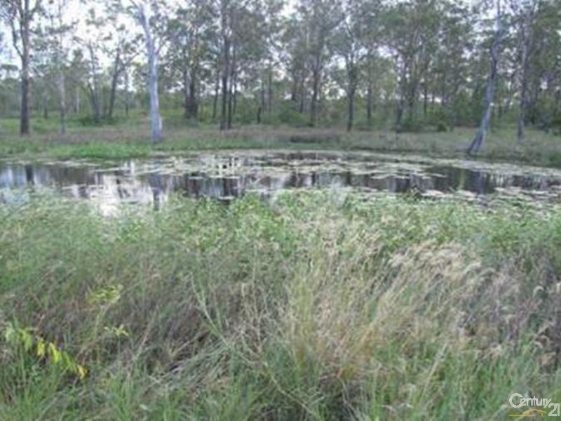 53821 Bruce Highway, Mount Larcom QLD 4695