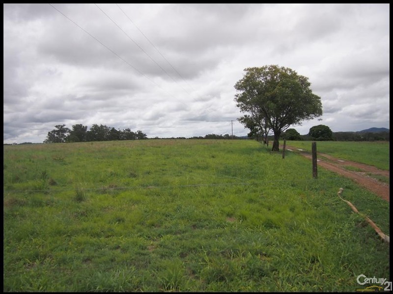 387 East End Road, Mount Larcom QLD 4695