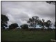 137 Wallaby Lane, Mount Larcom QLD 4695