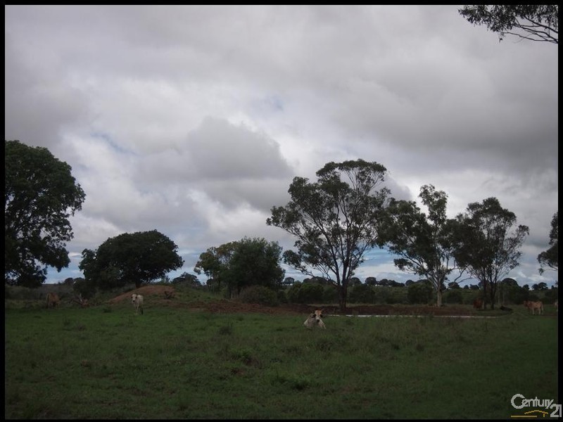 137 Wallaby Lane, Mount Larcom QLD 4695