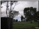 137 Wallaby Lane, Mount Larcom QLD 4695