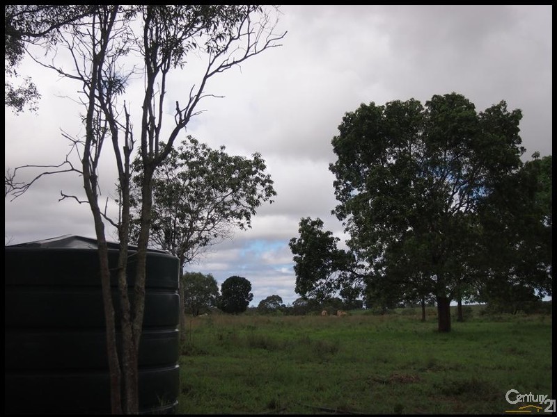137 Wallaby Lane, Mount Larcom QLD 4695