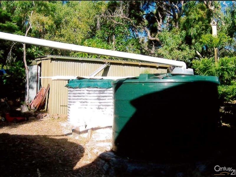 14 Sable Chief Drive, South Trees QLD 4680