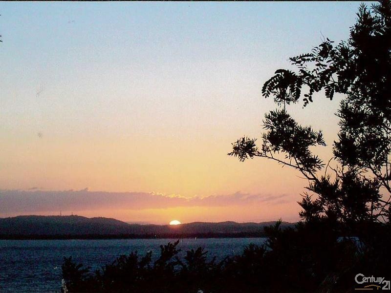 14 Sable Chief Drive, South Trees QLD 4680