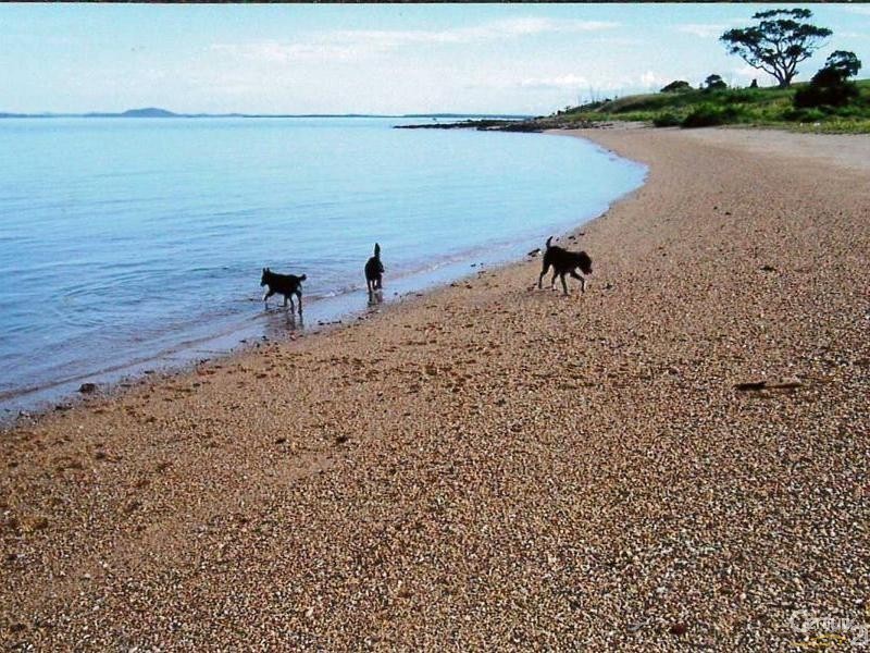 14 Sable Chief Drive, South Trees QLD 4680