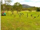2374 Fingerboard Road, Mount Tom QLD 4677