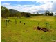2374 Fingerboard Road, Mount Tom QLD 4677