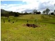 2374 Fingerboard Road, Mount Tom QLD 4677