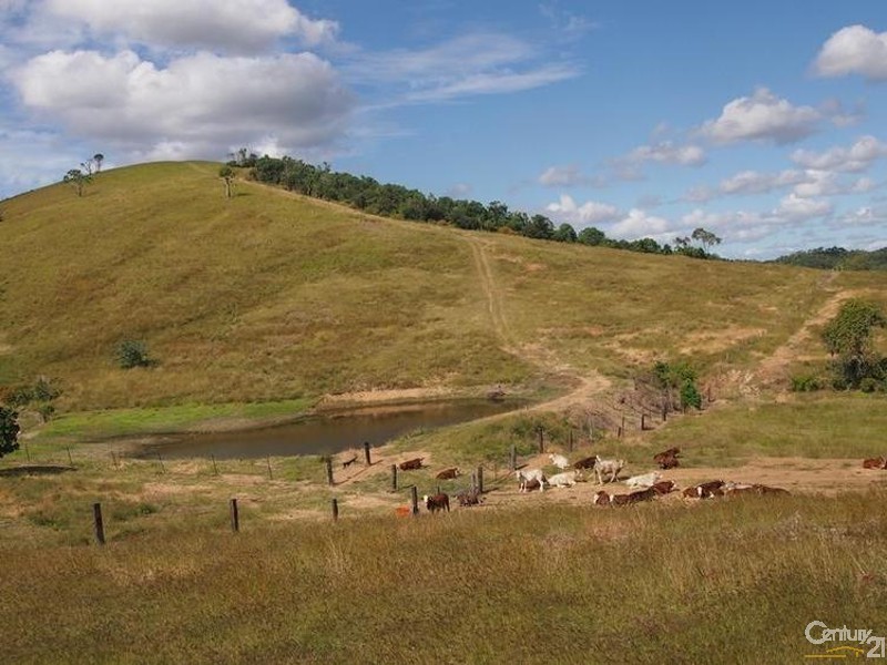 610 Darts Creek Road, Mount Larcom QLD 4695