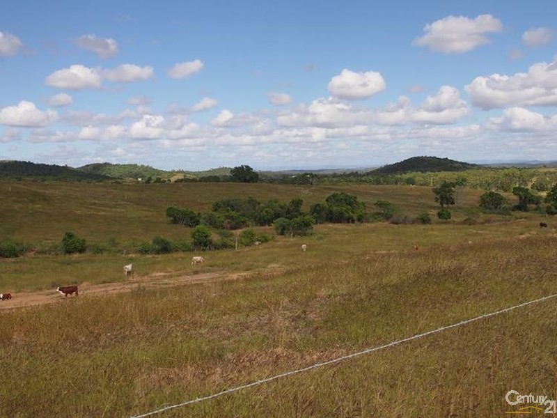 610 Darts Creek Road, Mount Larcom QLD 4695