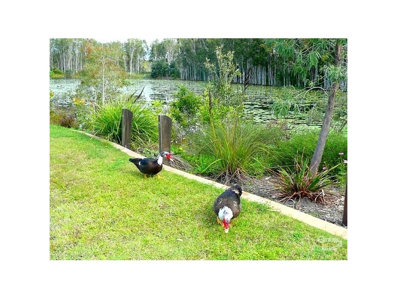 59 Sandstone Boulevard, Ningi QLD 4511