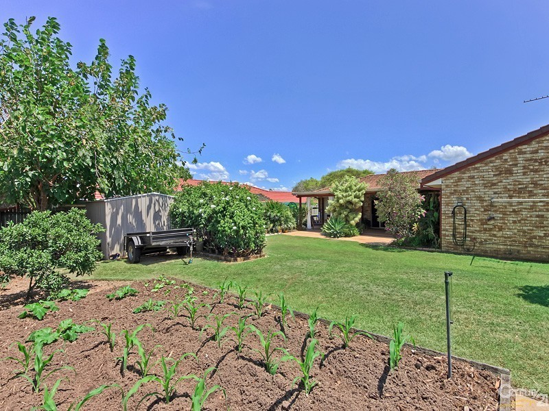 14 Kalmia, Mango Hill QLD 4509