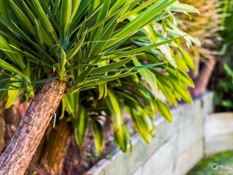 21 MERCURY PARADE, Mango Hill QLD 4509