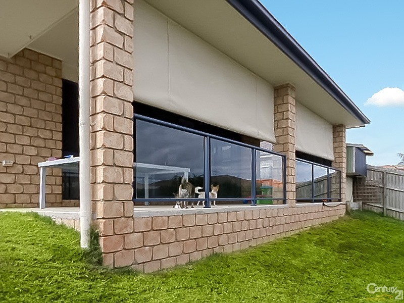 25 Hipwood Street, Morayfield QLD 4506