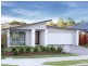 295 Tree Ring cct, Mango Hill QLD 4509